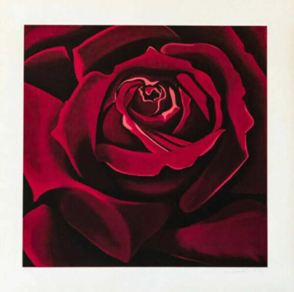 Screenprint Nesbitt - Rose