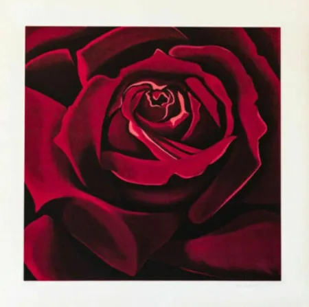 Screenprint Nesbitt - Rose