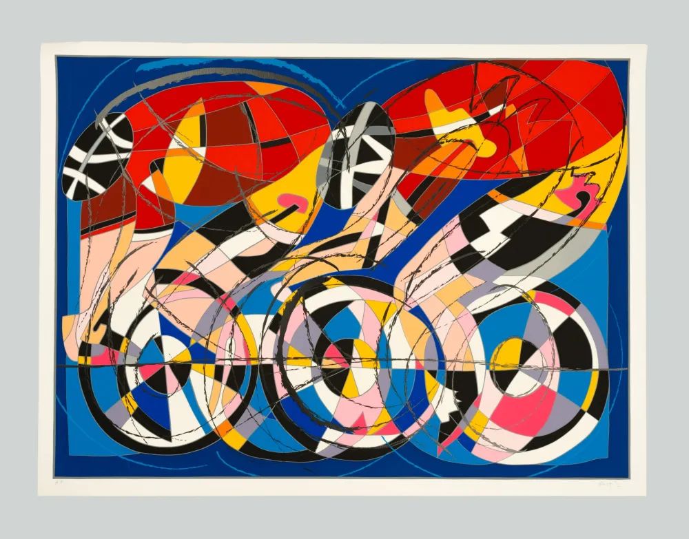 Screenprint Nespolo - Biciclette