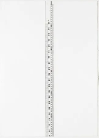 Lithograph Nicolai - Diptych S/T