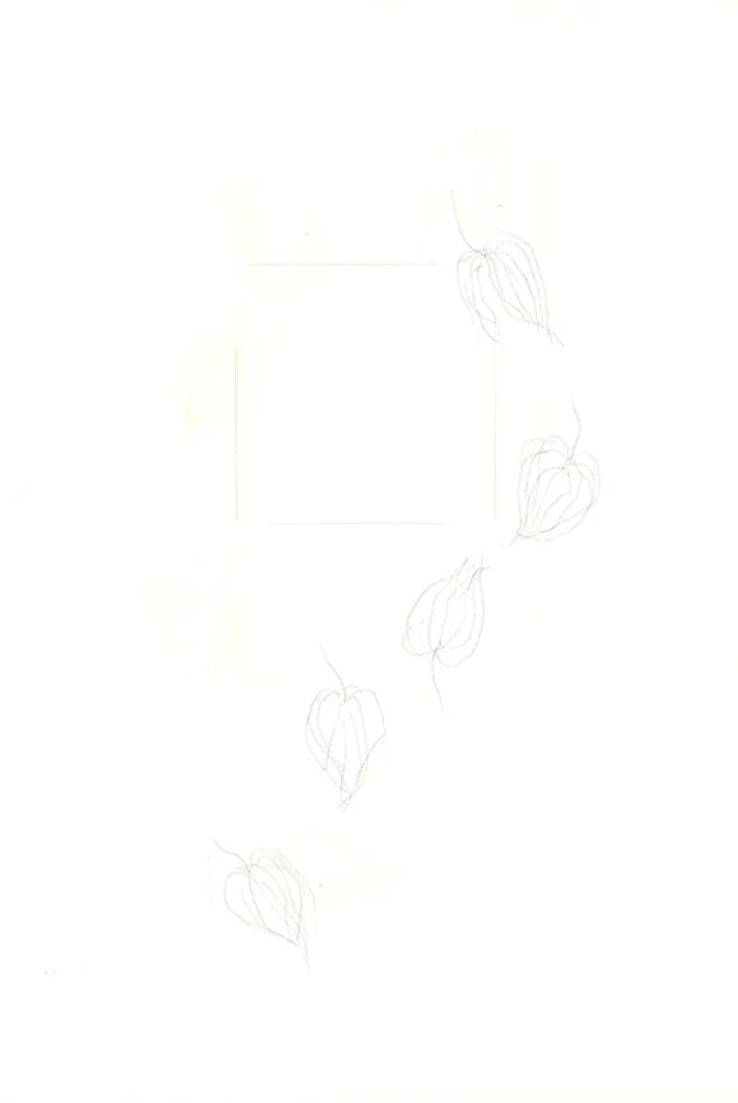 Etching Nishikawa - Physalis