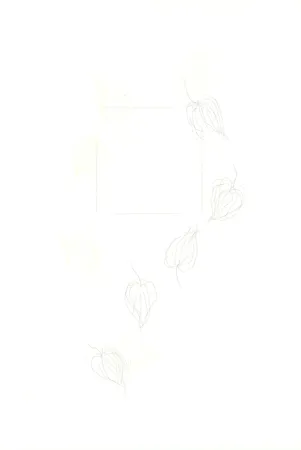 Etching Nishikawa - Physalis