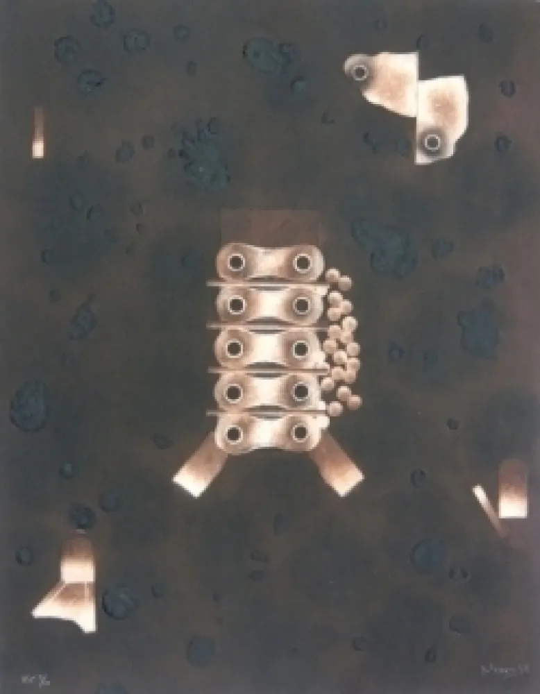 Etching Nissen - Mariposa obsidiana 4