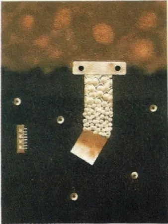 Etching Nissen - Mariposa obsidiana 6