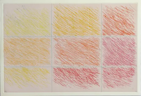 Etching And Aquatint Noland - Marron