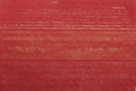 Engraving Noland - Portfolio 12th Anniversary of Galeria Joan Prats