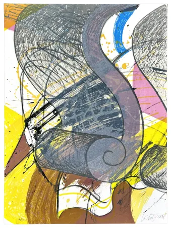 Lithograph Nørgard - 12