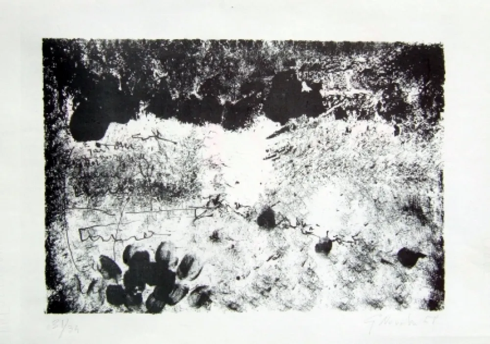 Lithograph Novelli - Senza titolo