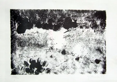 Lithograph Novelli - Senza titolo