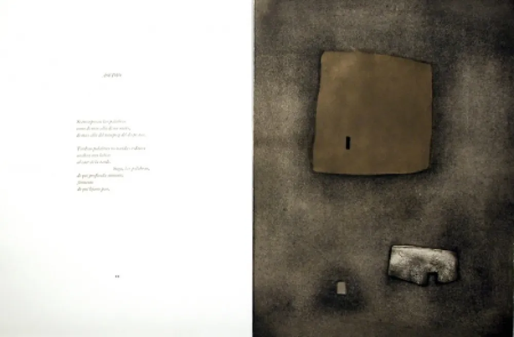 Illustrated Book Nóvoa - Alén