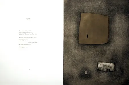 Illustrated Book Nóvoa - Alén