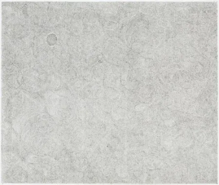 Etching Ofili - Untitled