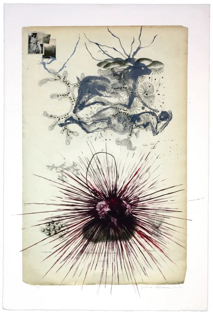 Lithograph Olguin - Sans titre