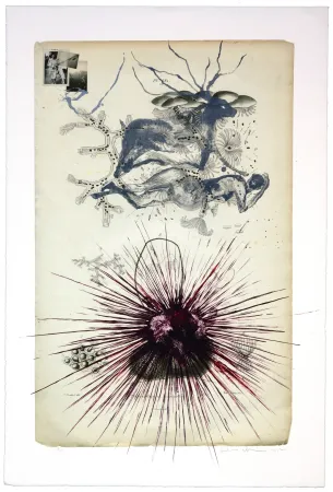 Lithograph Olguin - Sans titre