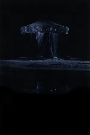 Numeric Print Op De Beeck - Merry-go-round