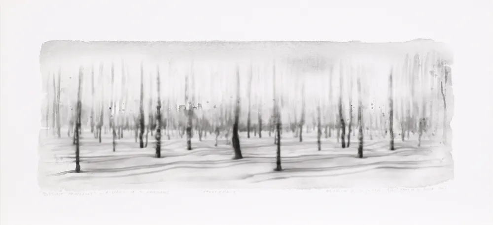 Numeric Print Op De Beeck - Panorama 5