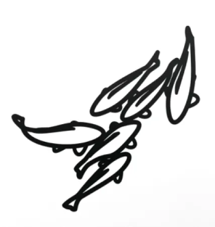 No Technical Opie - Carp 1, from Nature 1 Series