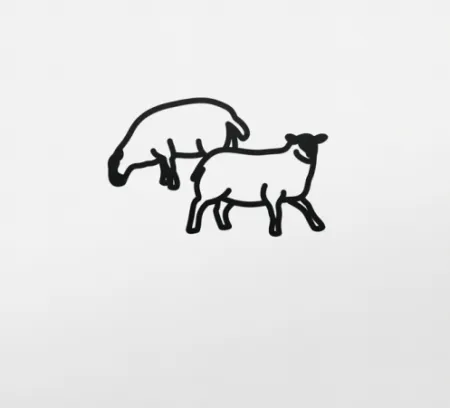 No Technical Opie - Sheep 2, from Nature 1 Series