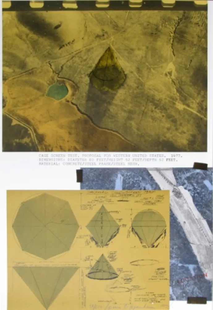 Lithograph Oppenheim - Cage Screen Test