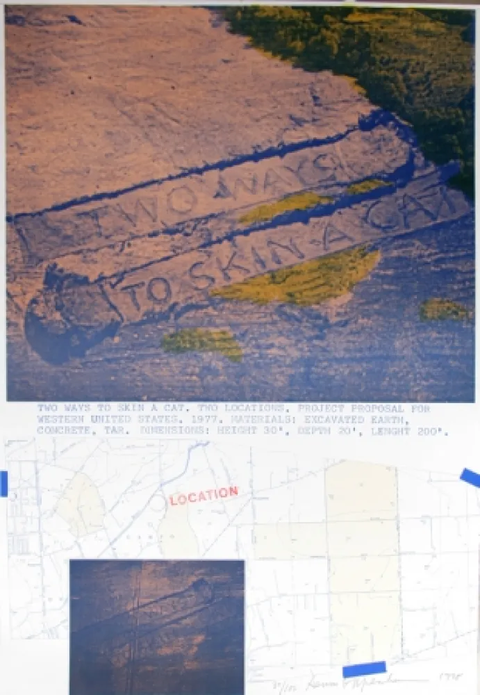 Lithograph Oppenheim - Two Ways to Skin a Cat