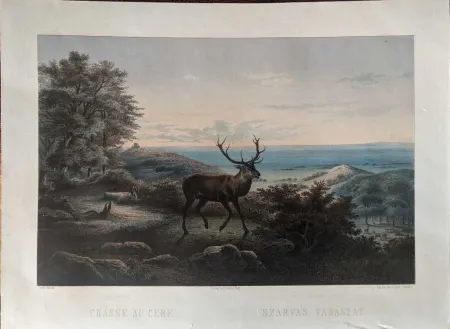 No Technical Orczy - Chasse au cerf / Szarvas vadászat