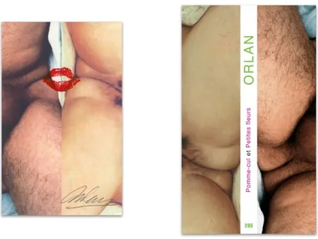 Illustrated Book Orlan - L'art en écrit