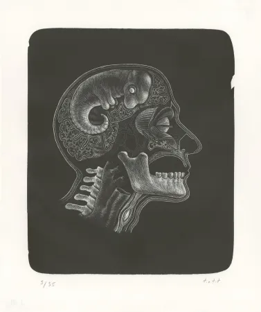 Lithograph Ott - Idee (Idée)