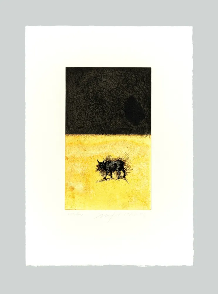 Etching And Aquatint Paladino - Bue