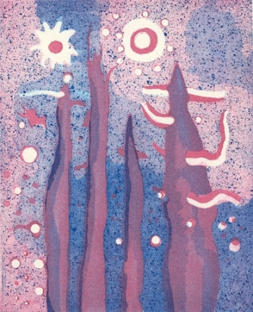 Illustrated Book Paladino - Piano-sequenza