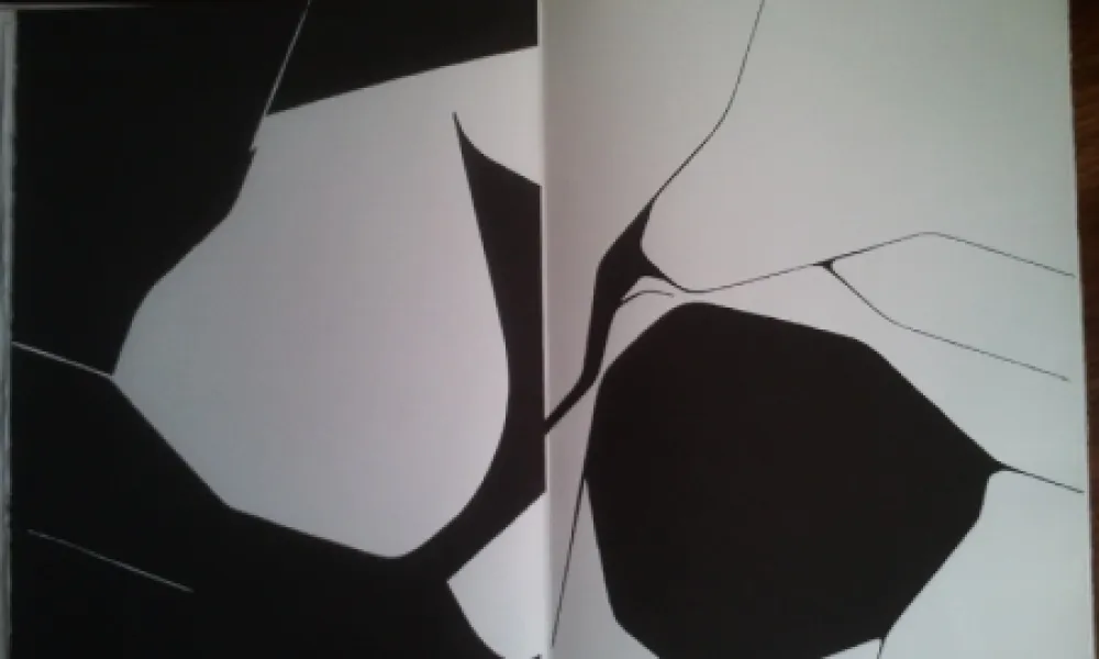 Illustrated Book Palazuelo - DLM 137 LUXE.