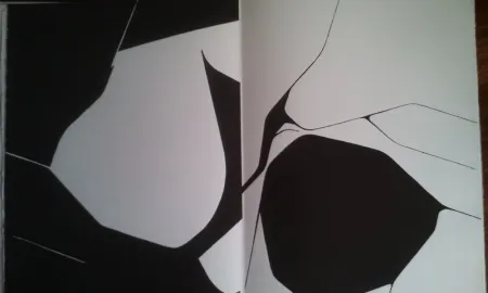 Illustrated Book Palazuelo - DLM 137 LUXE.