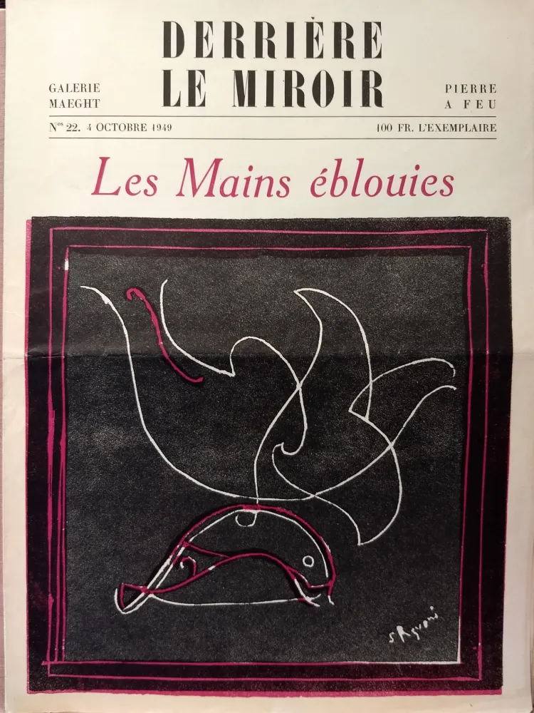 Illustrated Book Palazuelo - Dlm22