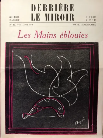 Illustrated Book Palazuelo - Dlm22