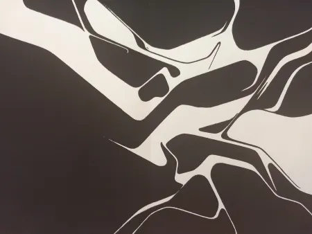 Illustrated Book Palazuelo - Edition Tete DLM 137