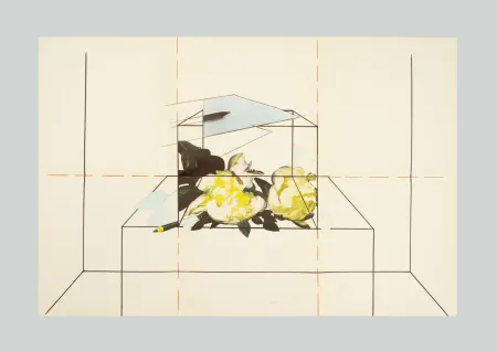 Lithograph Paolini - Come è / Come se