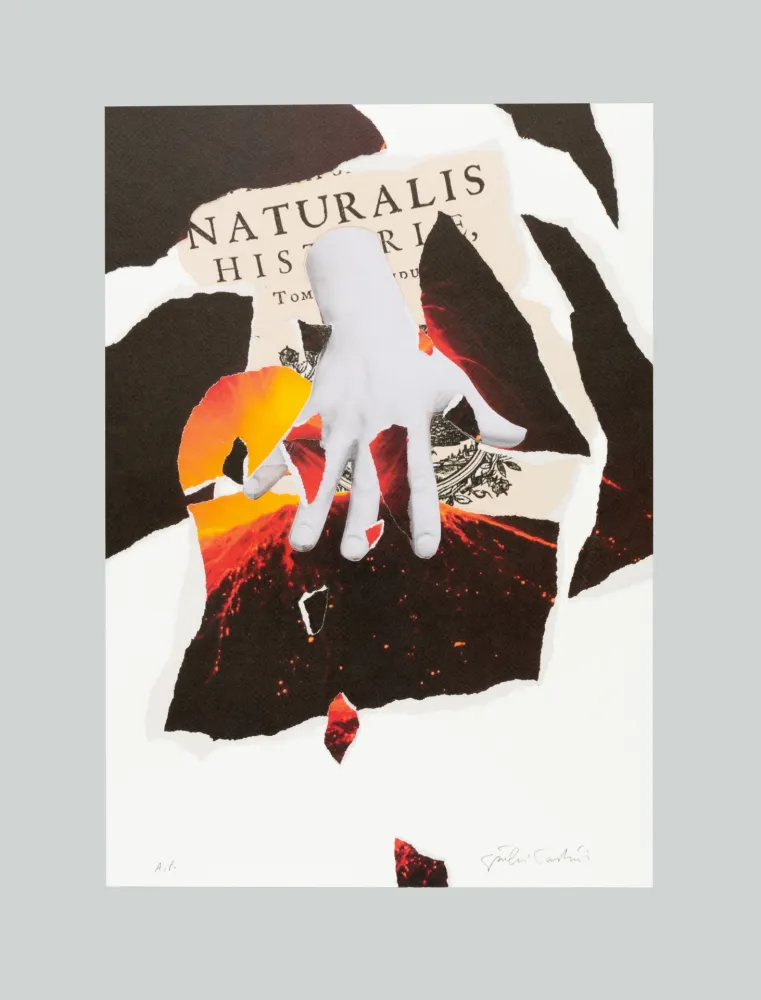 Lithograph Paolini - Naturalis historia