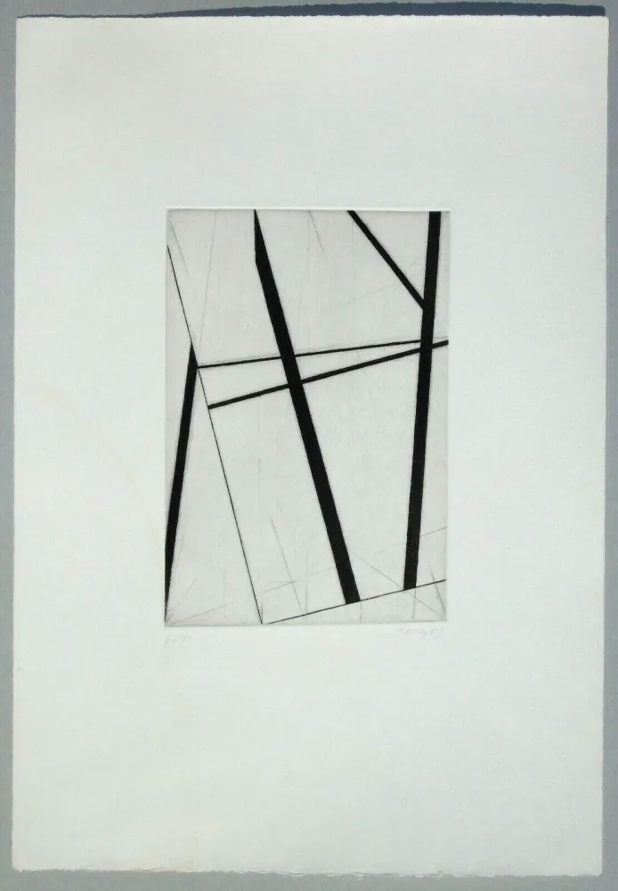 Etching Pardi - Composizione