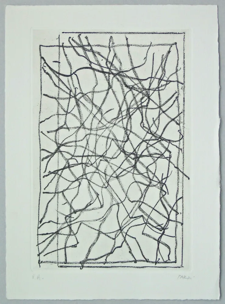 Etching Pardi - Composizione