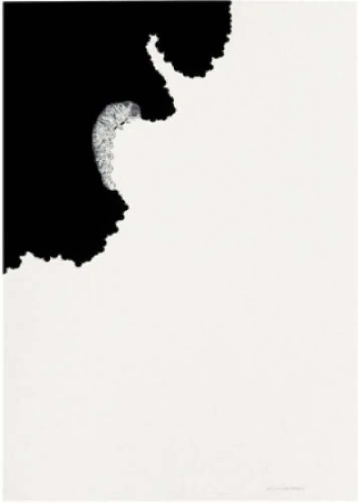 Lithograph Paris - Oruga