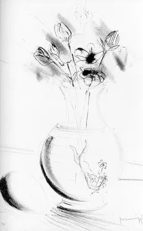 Illustrated Book Parmiggiani - Satyavati