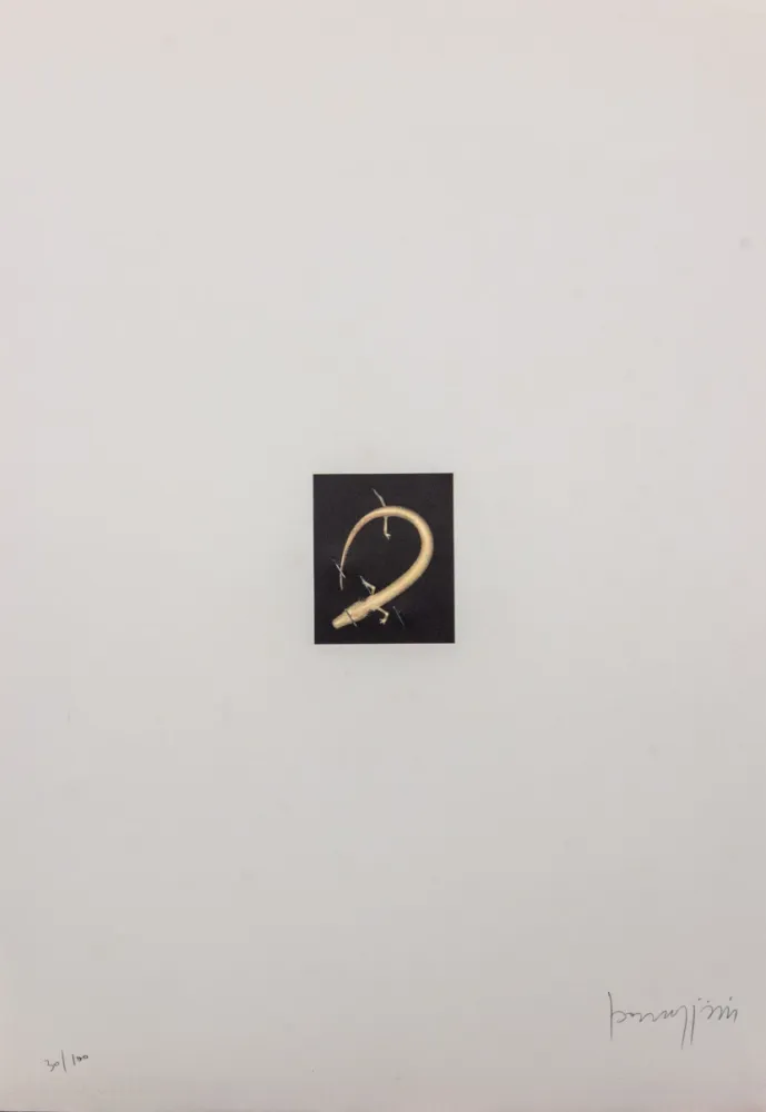 Lithograph Parmiggiani - SENZA TITOLO