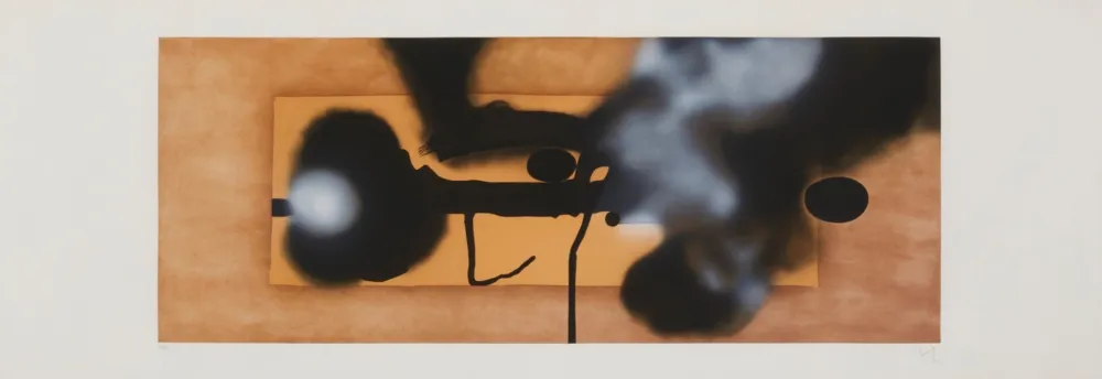 Etching Pasmore - Metemorphosis