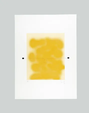 Etching And Aquatint Pasmore - Sunrise