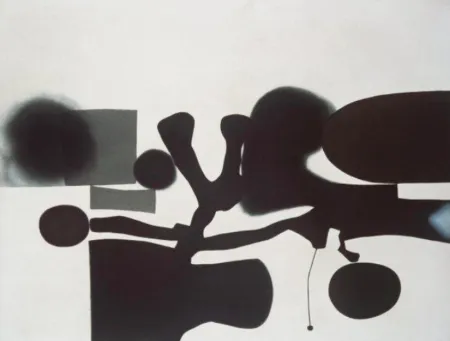 Aquatint Pasmore - The Harmony of Oposites