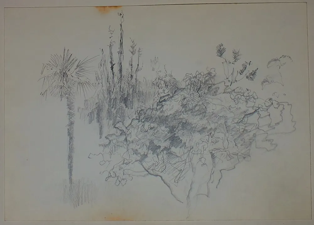 No Technical Pastor - Etude