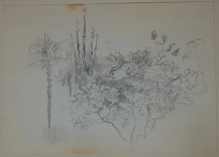 No Technical Pastor - Etude