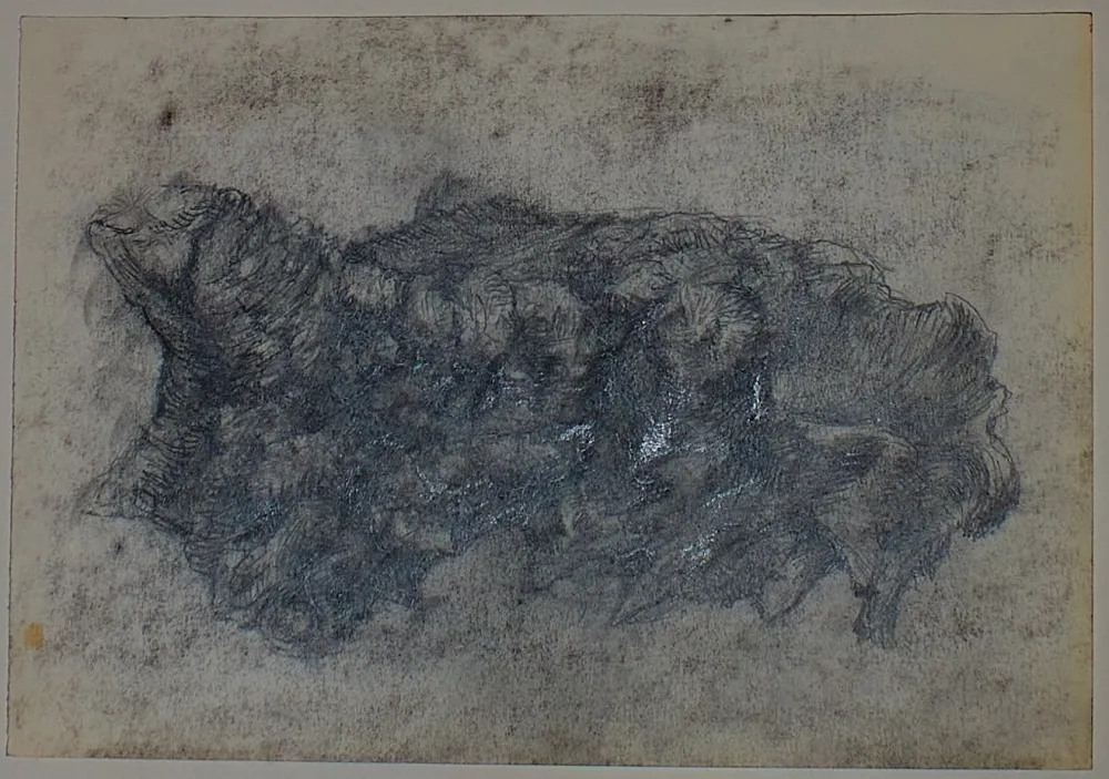 No Technical Pastor - Etude