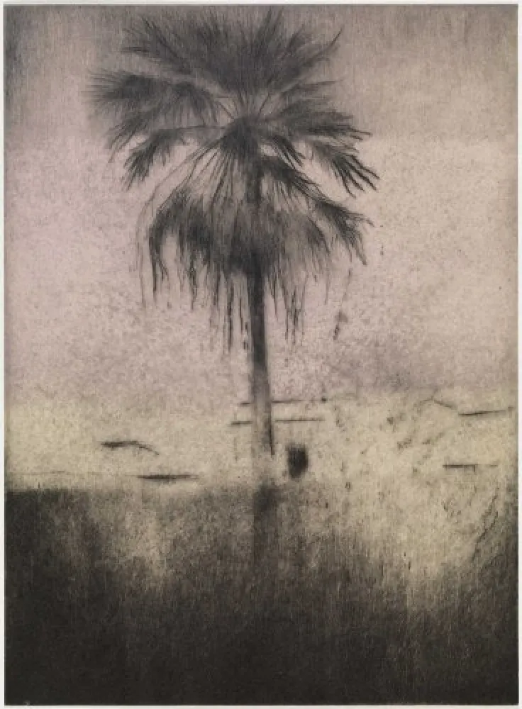 Drypoint Paul P - Palmera