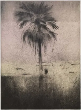 Drypoint Paul P - Palmera