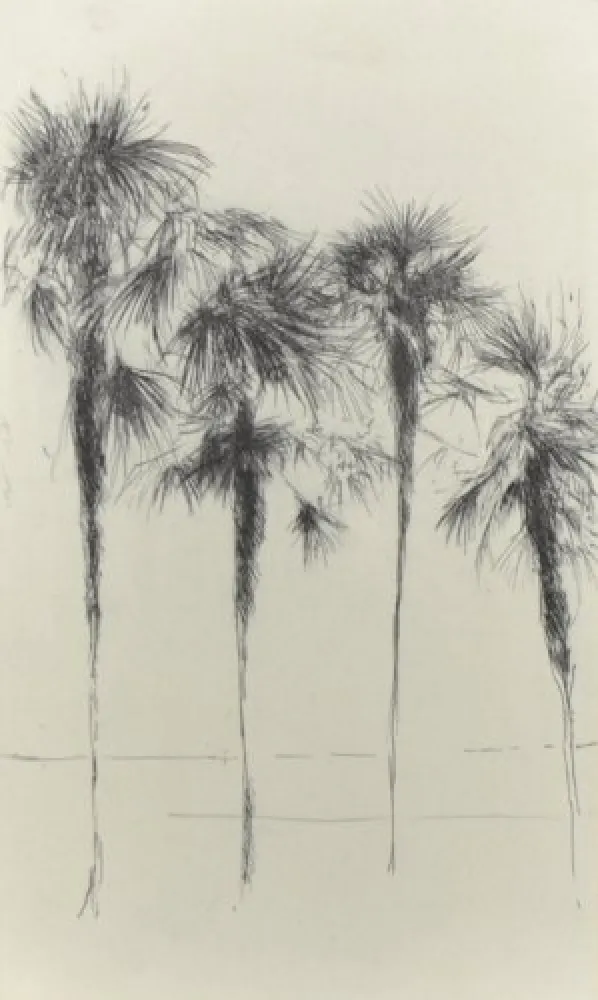 Etching Paul P - Palmeres